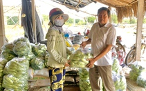 Lão nông làm giàu nhờ trồng rau và hoa màu, lan tỏa chương trình chuyển dịch nông nghiệp đô thị TP.HCM