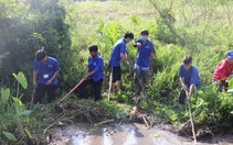 Bảo vệ môi trường, an toàn thực phẩm và cấp nước sạch: Nâng cao chất lượng sống người dân nông thôn 