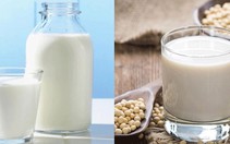 Sữa động vật và sữa đậu nành, loại nào bổ hơn?