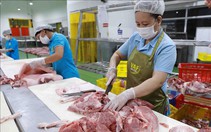 Dự báo nhập khẩu thịt và các sản phẩm từ thịt sẽ không tăng đột biến