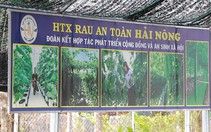 TP.HCM: Phát triển kinh tế tập thể, tạo điều kiện thuận lợi chuyển dịch cơ cấu nông nghiệp đô thị