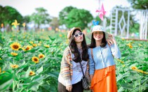Giới trẻ ùn ùn rủ nhau check-in vườn hoa hướng dương 12.000m2 ven sông Sài Gòn