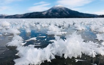 Hình ảnh hồ nở hoa băng ở Nhật