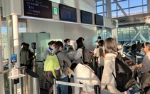 Tổ chức chuyến bay miễn phí đưa người dân tại Nhật về quê đón Tết