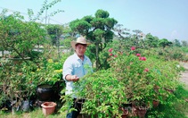 Trồng cây cảnh nghệ thuật, một thầy giáo thành phố Huế kiếm tiền tay trái nhiều hơn tay phải, thu 600 triệu đồng/năm