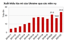Giá nông sản trên sàn giao dịch CBOT biến động mạnh do cuộc xung đột Nga – Ukraine
