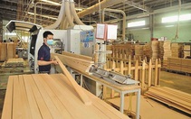 Xuất khẩu gỗ và sản phẩm gỗ năm 2022 dự kiến tăng trưởng trên 20%