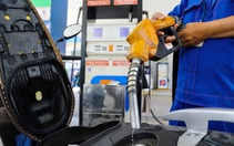 Giá xăng dầu tăng: Khuyến khích sử dụng tiết kiệm, hiệu quả