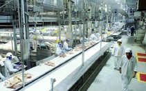 Brazil tăng xuất khẩu thịt heo sang Việt Nam