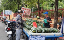 TP.HCM nắng nóng, cam, chanh, dưa hấu bán đắt như tôm tươi