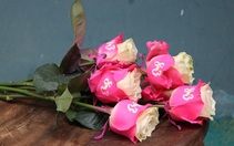 Hoa hồng in chữ 8-3 giá cao ngất ngưởng