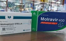 Sở Y tế TP.HCM khuyến cáo: Người dân không nên trữ thuốc Molnupiravir