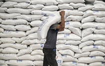 Gạo giúp các nước châu Á giảm rủi ro lạm phát thực phẩm