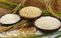 Xuất khẩu gạo vào Bắc Âu: Doanh nghiệp cần lưu ý gì?