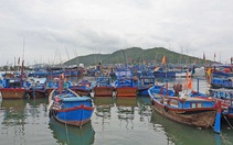 Quy hoạch cảng cá: Không chỉ là nơi "cá lên bờ", cần hướng tới phát triển du lịch