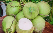 Mẹo chọn mua quả dừa nhiều nước, không lo tiêm đường hóa học