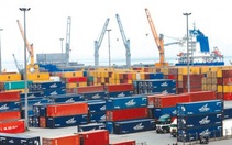 Chuyển đổi số ngành logistics: Chìa khóa cạnh tranh trong thị trường 42 tỷ USD