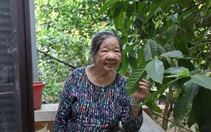 Cụ bà 80 tuổi đam mê làm từ thiện khắp thôn bản