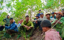 Lai Châu: Hạt Kiểm lâm Nậm Nhùn làm tốt công tác bảo vệ rừng