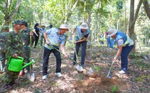 Coteccons khởi động chiến dịch trồng cây "Green Up" trong dự án bảo tồn rừng tại Phong Nha - Kẻ Bàng