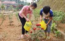 Niềm vui ở Trường Tiểu học Cốc Mỳ từ cây giống, vườn rau được tặng