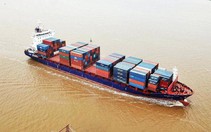 Đề án “Tàu buýt container”, lời giải cho bài toán chi phí logistics