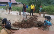 Mường Nhé: Không để người dân chịu cảnh "màn trời, chiếu đất"

