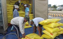 Tham tán thương mại chỉ cách xuất gạo qua Lào, Trung Quốc