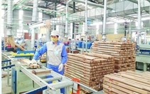 Xuất khẩu nông sản đón nhiều tin vui