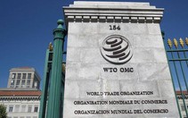 WTO đạt thỏa thuận khó ngờ 