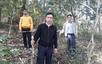 Lai Châu: Để Sơn Bình phủ xanh màu rừng