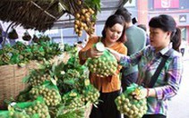 Hàng loạt trái cây Việt Nam sắp được xuất khẩu chính ngạch sang Mỹ, EU, Nhật, Hàn