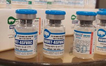 Nhiều nước muốn mua vaccine phòng dịch tả heo Châu Phi của Việt Nam