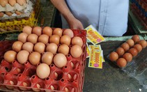 Giá trứng tăng kỷ lục