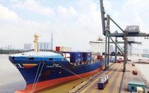 Chính phủ yêu cầu TP.HCM xem xét điều chỉnh việc thu phí cảng biển trong tháng 7