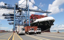 TP.HCM giảm 50% phí hạ tầng cảng biển, doanh nghiệp phấn khởi vì giảm nhiều áp lực chi phí