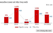 Bất động sản Đà Nẵng và vùng phụ cận: Sức mua trong nửa cuối năm tiếp tục tăng?