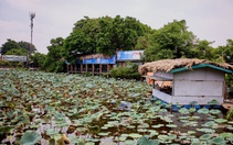 Hồ Tây thiếu không gian cộng đồng