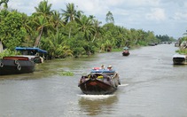 Phát triển vùng ĐBSCL: để 13 cây đũa trở thành một bó đũa