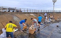 Phú Quốc hướng tới thành phố biển đảo “nói không” với rác thải nhựa