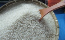 Giá gạo sẽ tăng giá mạnh từ động thái bất ngờ của Ấn Độ?