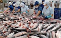 Mỹ giữ nguyên thuế chống bán phá giá cá tra, basa nhập từ Việt Nam