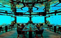 "Khách sạn" 5 sao dưới đáy biển đắt đỏ nhất thế giới
