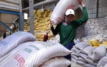 Xuất khẩu gạo Việt Nam có thể vượt 6,5 triệu tấn
