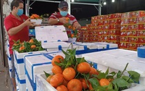 Nhiều loại trái cây tăng giá trước ngày đưa ông Táo