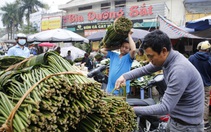 Chợ lá dong gói bánh chưng lâu đời nhất Hà Nội nhộn nhịp trước Tết