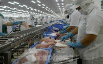 Việt Nam vào top 3 nước xuất khẩu thủy sản lớn nhất thế giới