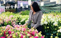Hoa đẹp, giá không tăng ở thủ phủ Đà Lạt