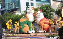 Ngắm những chú mèo siêu đáng yêu đã lộ diện 100% tại đường hoa Nguyễn Huệ