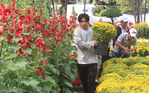 Diễn biến lạ chợ hoa Tết Sài Gòn: "Chưa thấy năm nào như năm nay"